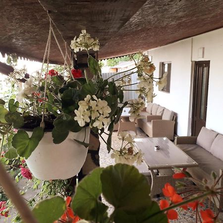 Casa Chitu Pension Murighiol Buitenkant foto