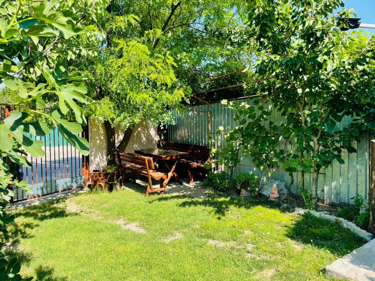 Casa Chitu Pension Murighiol Buitenkant foto