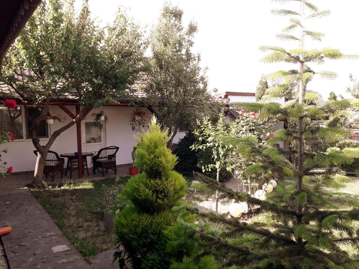 Casa Chitu Pension Murighiol Buitenkant foto